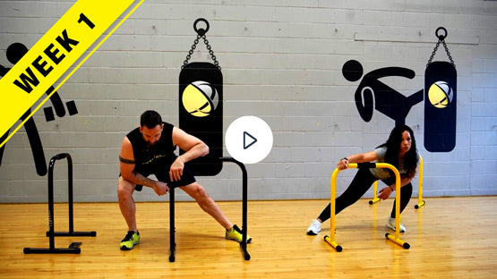 lebert-fitness-portable-dip-bars-unlocked-livre-13-workouts image 2