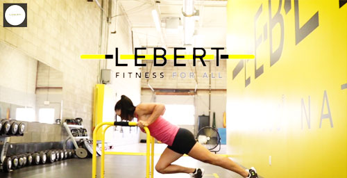 lebert-fitness-equalizer-strength-fundamentals-vid-o-force-d-butant-jesse image 2