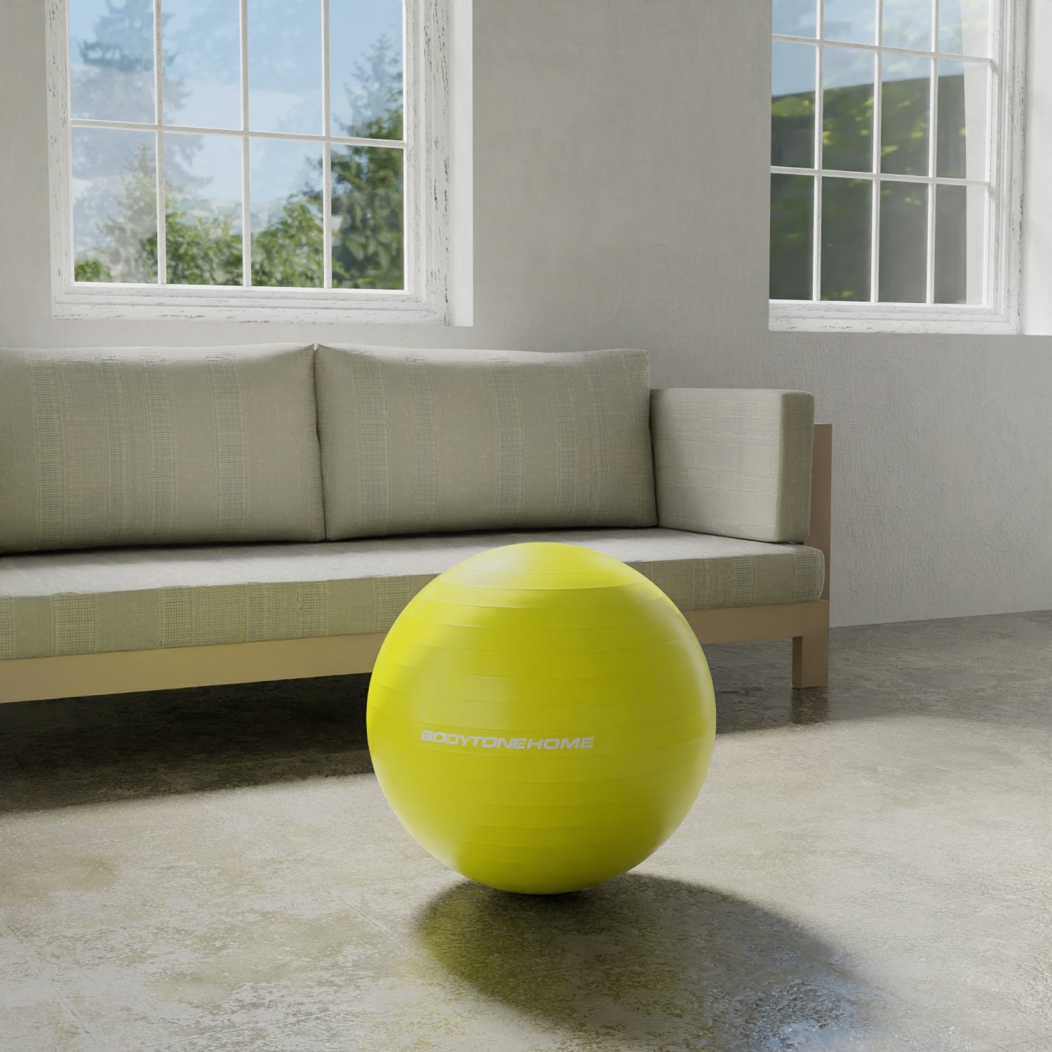 bodytone-fitball-dgb55-ballon-de-gym-55-cm-pvc image 2