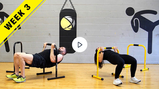lebert-fitness-portable-dip-bars-unlocked-livre-13-workouts image 4
