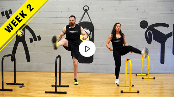 lebert-fitness-portable-dip-bars-unlocked-livre-13-workouts image 3