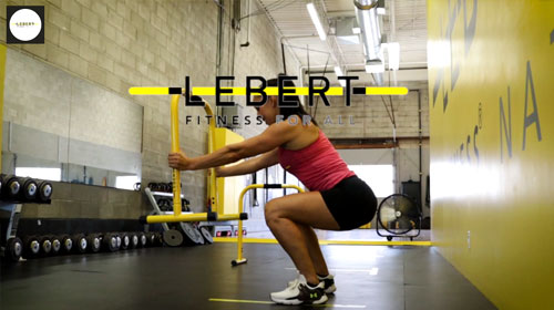 lebert-fitness-equalizer-mobility-workout-vid-o-mobilit-d-butant-jesse image 1