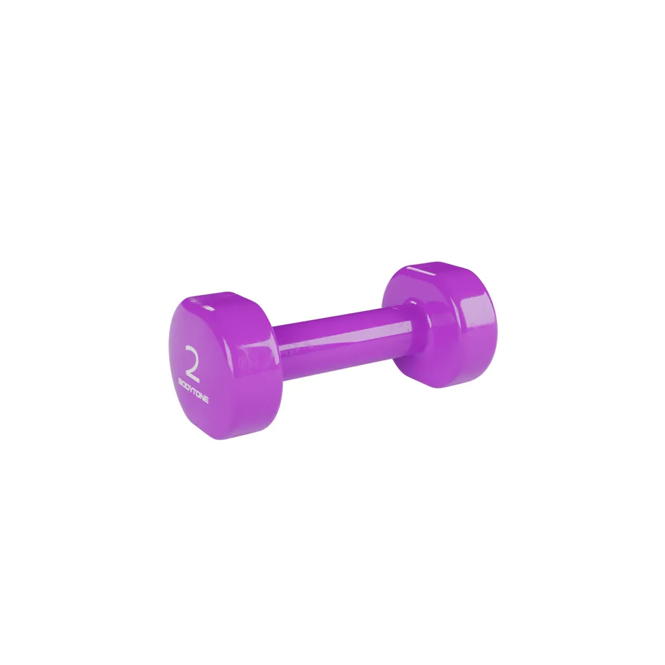 bodytone-dv2-halt-res-vinyle-2x2-kg-violets-tonification image 1